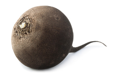Black radish vegetable closeup