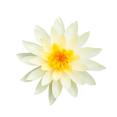 Photo sur Plexiglas fleur de lotus Fleur de lotus blanc isolé sur fond blanc., Cela a un tracé de détourage.