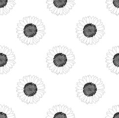 Sunflower Seamless on White Background