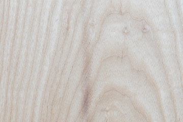 Abstract Ash Wood texture natural design , used for background website or add text in advertise