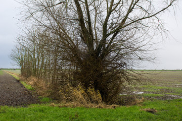 Fototapeta premium Knick in Norddeutschland