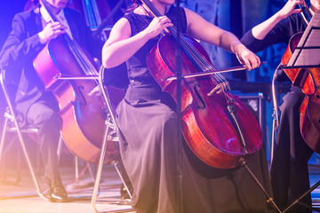 Violoncello musician in orchestra © Viktor Iden