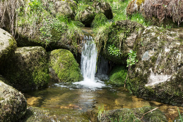 Small waterfall between stones with moss in the forest