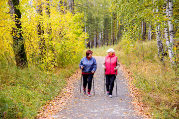 Fototapeta premium Senior ladies nordic walking