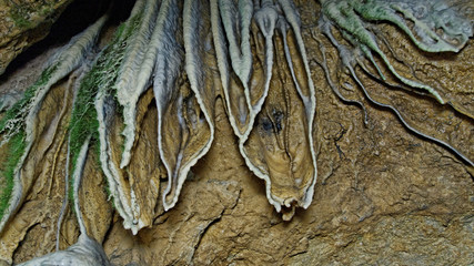 limestone and moss in cave