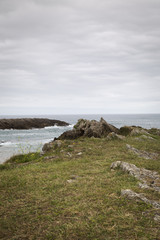 beautiful and rocky green coastline for the holidays
