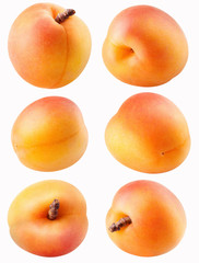 Collection of different apricot fruit isolated on white with clipping path