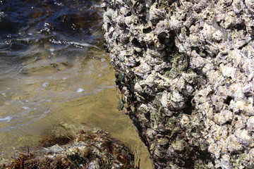 Thailand - Khao Lak - Strand