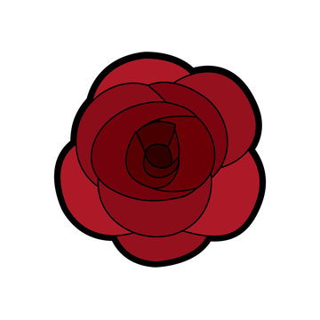 rose flower ornament floral petal nature vector illustration