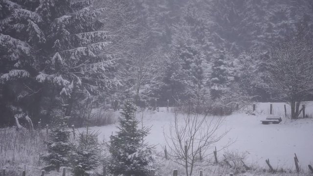 Starker Schneefall in waldiger Landschaft - Zoom out