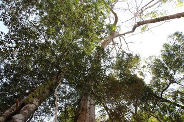 Thailand - Khao Sok - Nationalpark