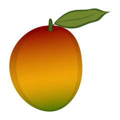 Isolated mango illustration