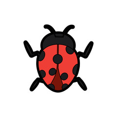 ladybug arthropod insect single icon vector illustration