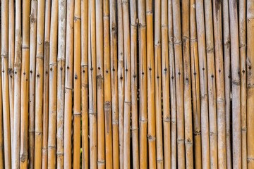 bamboo fence as a background