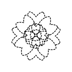 beauty flower floral natural petal vector illustration sticker