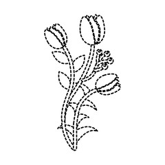 natural flowers berry stem leaves flora image vector illustration sticker
