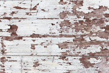 The old wooden wall texture as a background