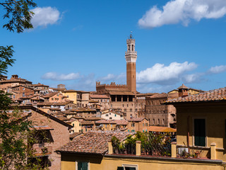Obraz premium View on the city of Siena