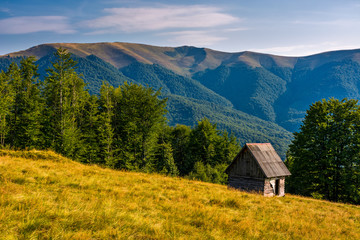 shed on a grassy slope in mountains. beautiful scenery in Carpathians