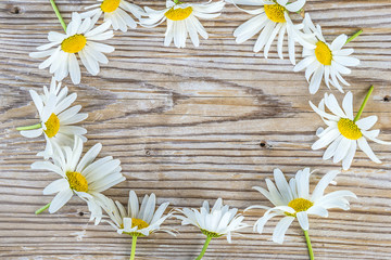 white daisie flowers frame on rustic background