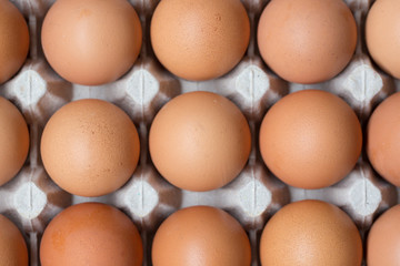 Close up of Chicken eggs in package