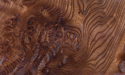 texture of lacquered wood surface