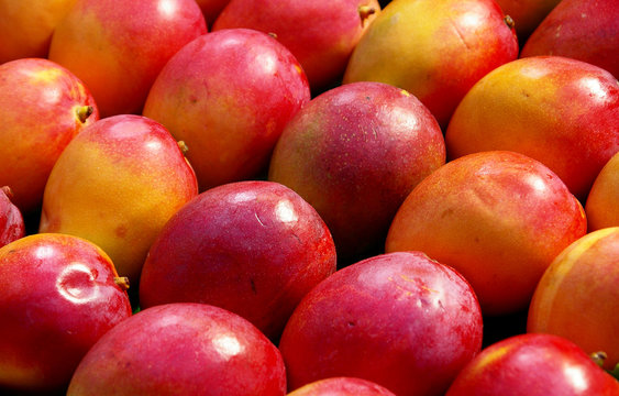 Mango auf dem Markt