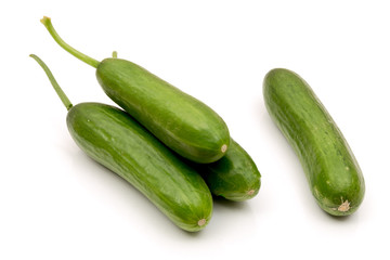 Cucumber