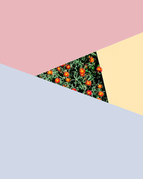Color paper floral