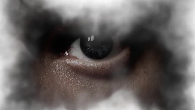 PRY. To watch. Spying in the fog. Hiding in the dark