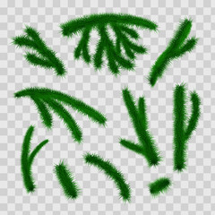 Collection of Fir Branches. Set of Realistic Detailed Christmas tree branches. Symbol of Christmas and New Year isolated on white background for your design. Vector illustration.