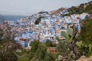 Fototapeta premium Traditional moroccan courtyard in Chefchaouen blue city medina in Morocco, architectural details in Blue town Chaouen. Typical blue walls and colorful flower pots.