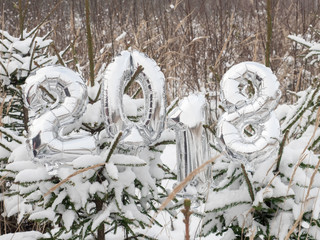 Silver numbers 2018 on small Christmas trees in a snowy field