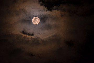 Naklejka na ściany i meble Moon / Moon on night sky.
