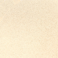 .Summer beach and soft wave background. Sand and sea. Tropical summer vacation concept with copyspace