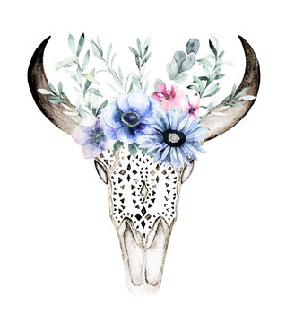 Watercolor bull's head with flowers and herbal on white background. Hand drawn isolated illustration. Ornamental skull on white background for wrapping, wallpaper, textile, posters, cards, prints