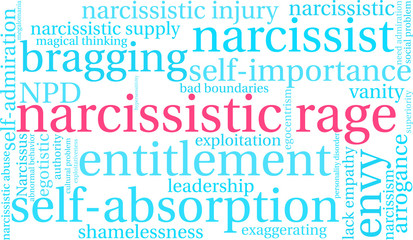 Narcissistic Rage Word Cloud on a white background.