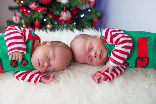 Cute sleeping christmas newborn brothers elf in decorations