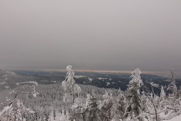 Blick über den Schneebedeckten mittleren Schwarzwald Richtung Rheinebene