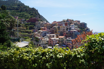 Obraz premium View of Manarola, Cinque Terre, Italy