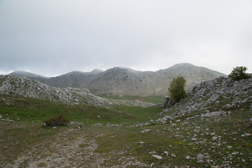 Area sul Monte Cervati primavera, vista da nordovest 