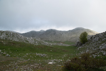Area sul Monte Cervati primavera, vista da nordovest 