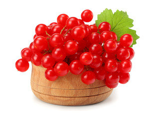 Red berries of Viburnum (arrow wood) in wooden bowl with green leaf isolated on white background