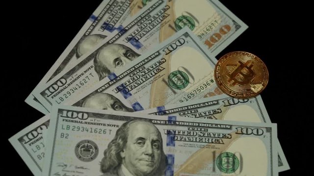 Coin bitcoin revolves against the background of dollars.
