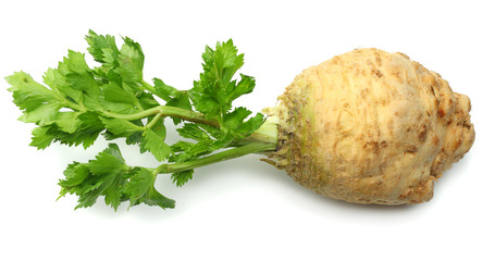 celery root with leaf isolated on white background. Celery isolated on white. Healthy food