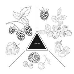 A set of berries: blueberries, cherries, raspberries and strawberries. Vintage style. Hand drawn sketch on white background. Design elements for banner, cover, label, package, promote.