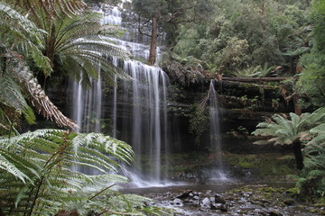 waterfall in south tasmania