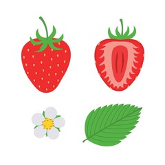 red berry strawberry and a half of strawberry. Set flower, petal, strawberry