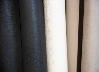 Color palette sample of leather material.