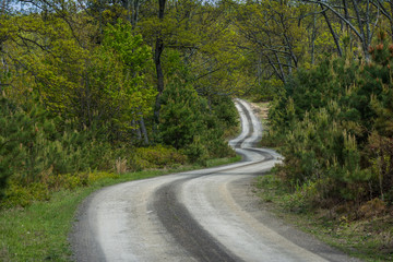 Landscape of The area around Long Pine Reservoir in Michaux State Forest in Central Pennsylvania